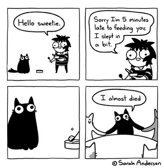 50 Of The Newest Comics About Life As An Introvert By Sarah Andersen