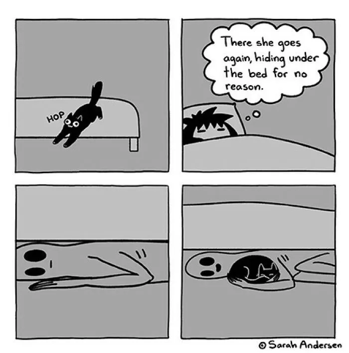 50 Of The Newest Comics About Life As An Introvert By Sarah Andersen