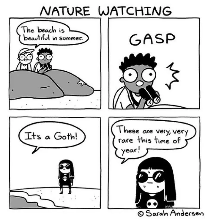 50 Of The Newest Comics About Life As An Introvert By Sarah Andersen