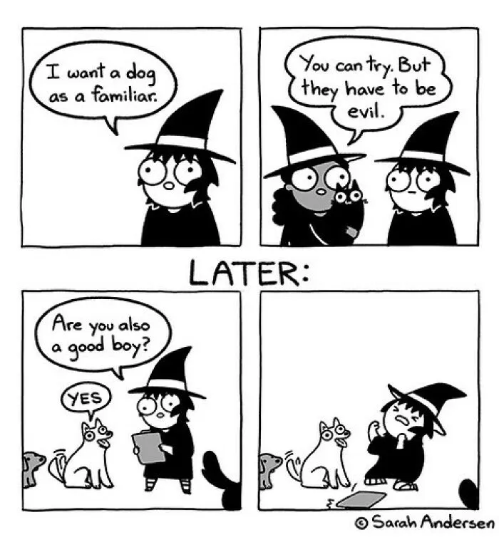 50 Of The Newest Comics About Life As An Introvert By Sarah Andersen