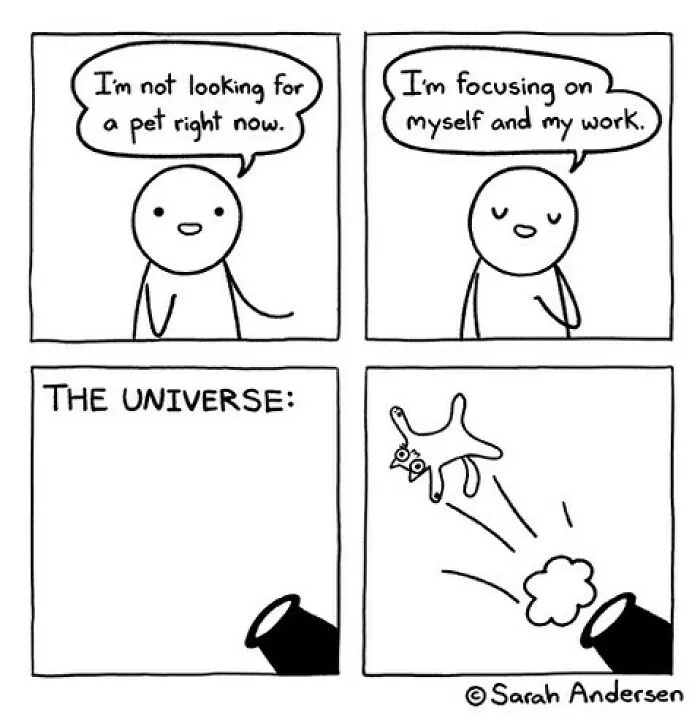 50 Of The Newest Comics About Life As An Introvert By Sarah Andersen