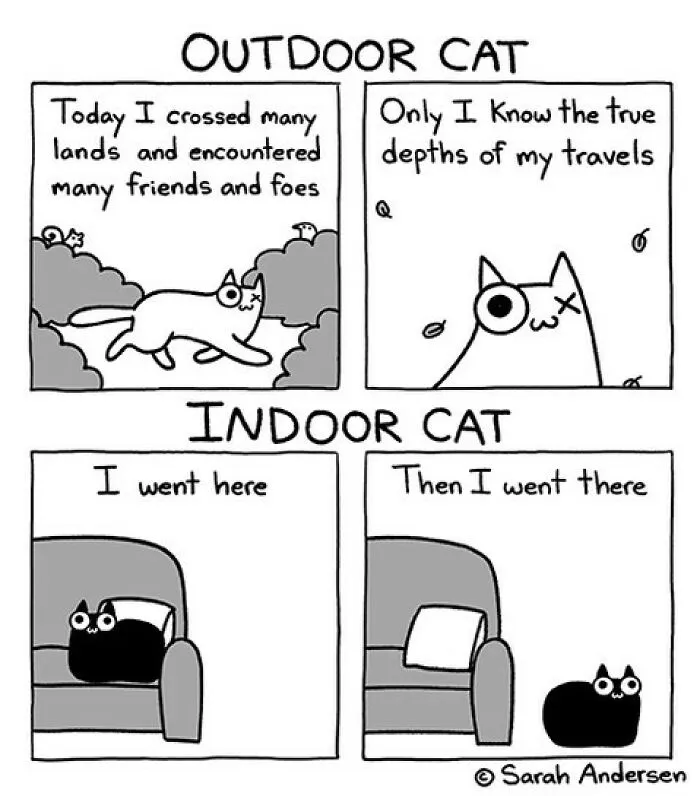 50 Of The Newest Comics About Life As An Introvert By Sarah Andersen