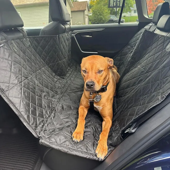 Road Trips Redefined: The <span Style="Font:inherit;color:#d74b1f;"> Extra Stable Dog Car Seat </Span> - Secure, Waterproof Comfort For Your Pooch