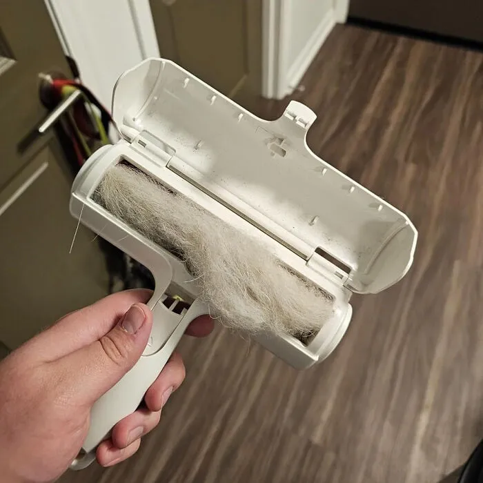 Say Goodbye To Pet Hair Woes: <span Style="Font:inherit;color:#d74b1f;"> The Ultimate Fur & Lint Remover </Span> For Big Dog Owners!