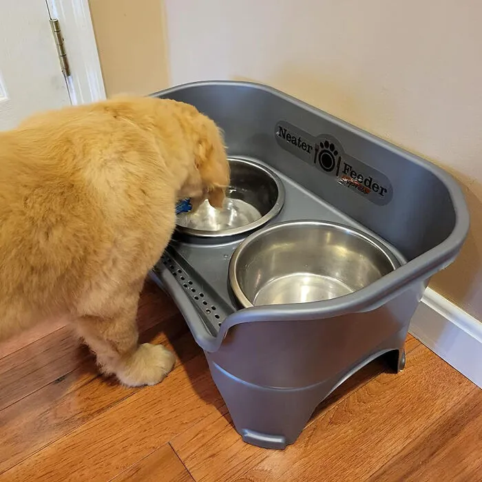 The <span Style="Font:inherit;color:#d74b1f;"> Neater Feeder Express Dog Bowls </Span> - Elevate Your Big Dog's Dining Experience With No Mess!