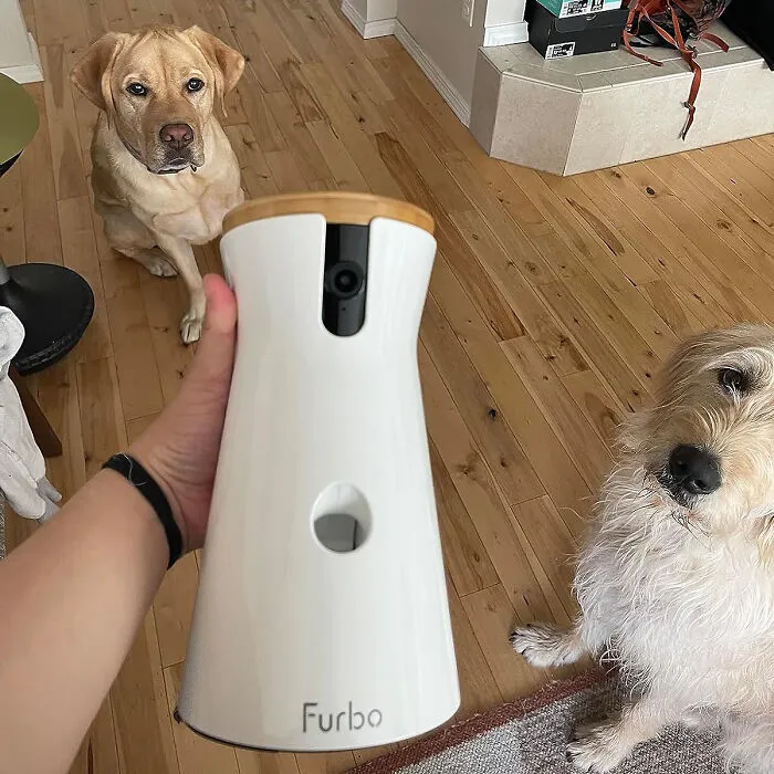 Stay Connected, Treat Ready: <span Style="Font:inherit;color:#d74b1f;"> Furbo 360° Smart Pet Camera </Span> - Beyond Watching, Engage And Reward Your Dog!