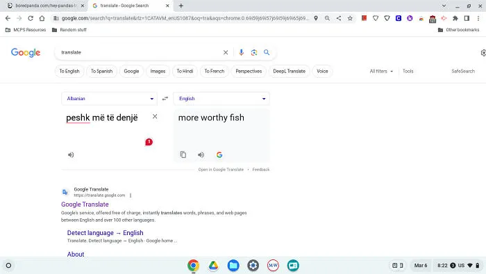 I Put In "Ornamental Fish"