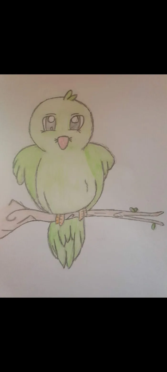 Birdy