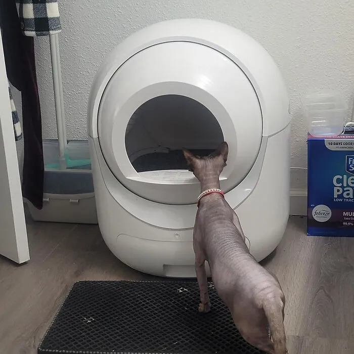 Spring-Ready Cat Care: <span Style="Font:inherit;color:#d74b1f;"> Self-Cleaning Litter Box </Span> - App-Controlled, Odor Removal, And Safety Features For A Fresh And Effortless Cleanup!