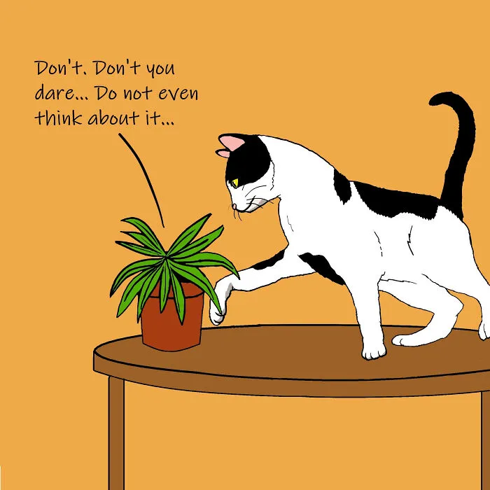 Life's Little Paradoxes: 13 Comics By Sarah Akinterinwa Offering Insight And Humor