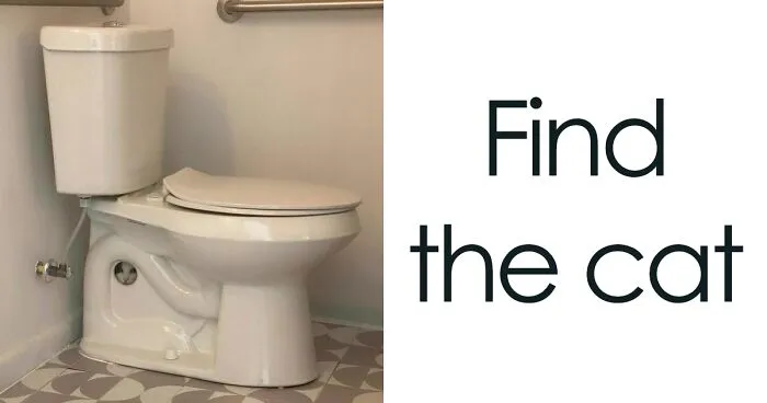 50 Hilarious Feline Memes From The Wholesome Cat Community “CatCon Worldwide” (New Pics)