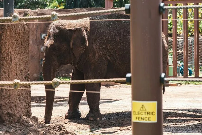Someone Asks Zookeepers "What Are Zoo Secrets That People Wouldn’t Believe?", Gets 21 Replies