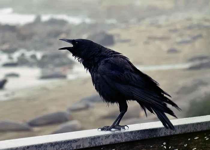 People Are Sharing Their Favorite Animal Facts That Never Cease To Amaze Them