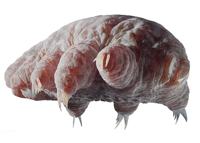 People Are Sharing Their Favorite Animal Facts That Never Cease To Amaze Them