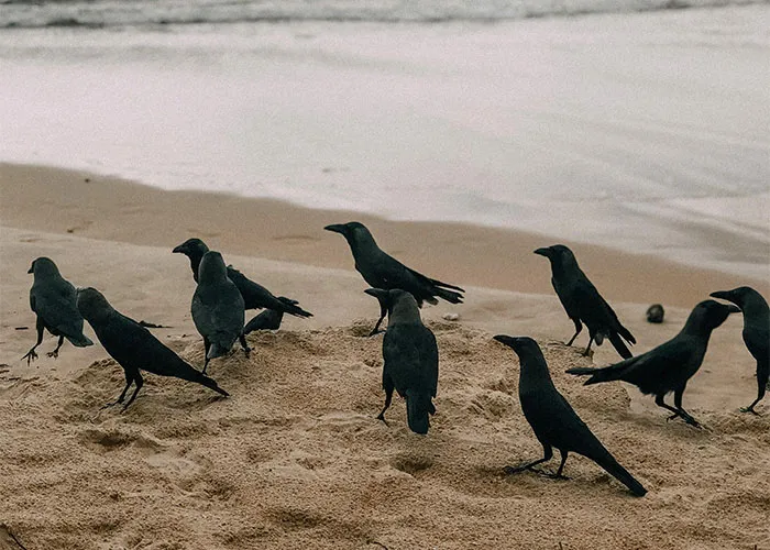 People Are Sharing Their Favorite Animal Facts That Never Cease To Amaze Them