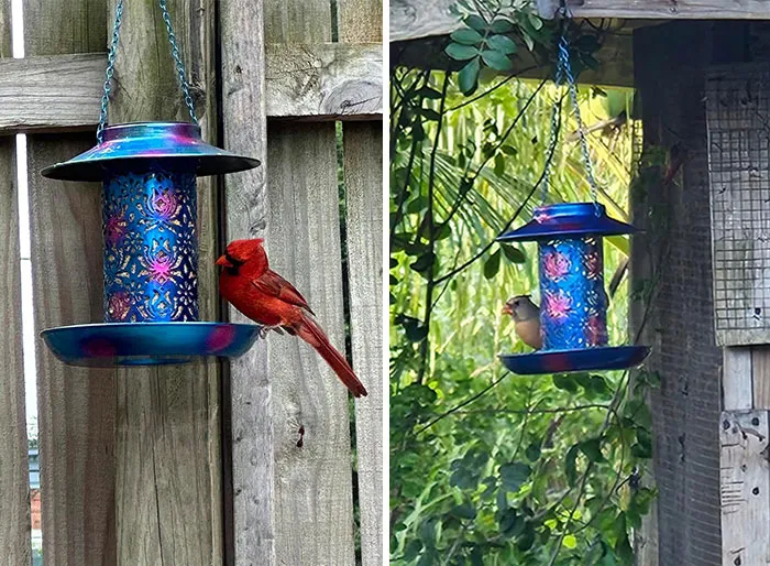 <span Style="Font:inherit;color:#d74b1f;"> A Solar Bird Feeder</Span> With Nighttime Glow That'll Light Up Your Yard While Keeping Your Feathered Friends Full