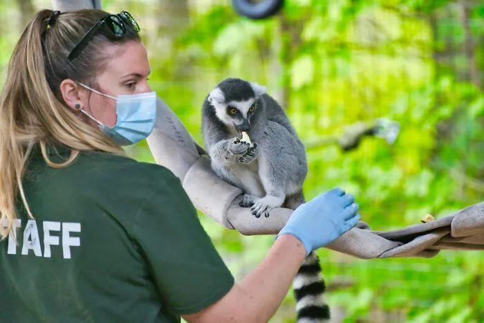 Someone Asks Zookeepers "What Are Zoo Secrets That People Wouldn’t Believe?", Gets 21 Replies