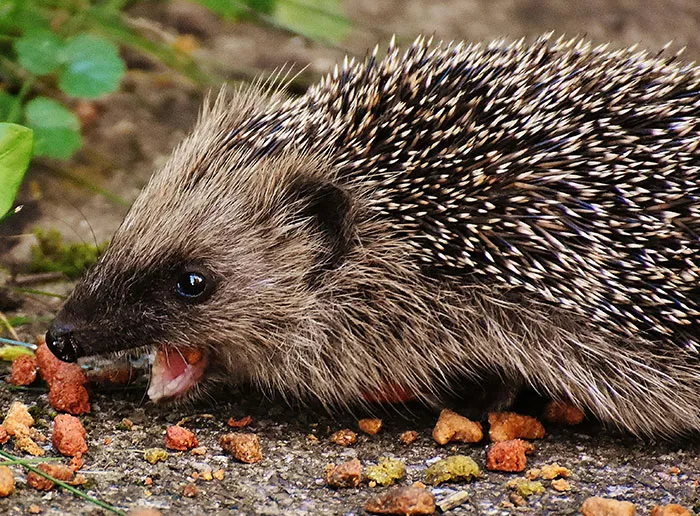 People Suggest New Names For Badly Named Things And These 50 Make So Much More Sense