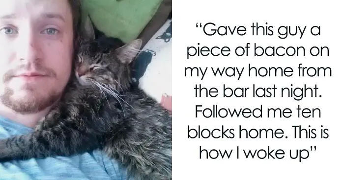 50 Hilariously Unexpected “My House, Not My Cat” Moments (Best-Of-All-Time Edition)