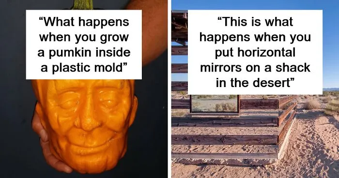 50 ‘Mildly Interesting’ Things That May Surprise You (Best Of All Time)