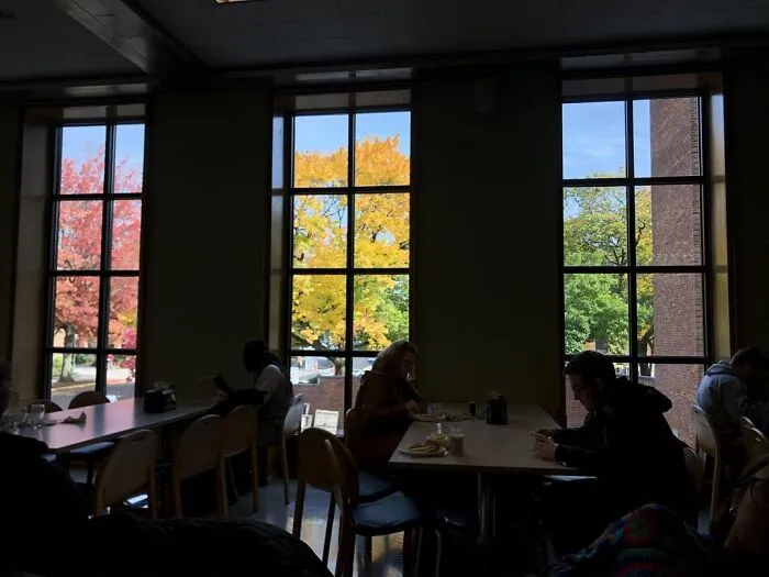 Each Window Has Different Colored Tree Leaves