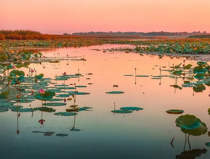 If You’re Feeling Blue, These 50 Pics Might Brighten Your Day