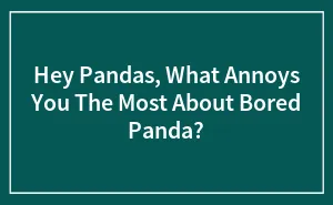 Hey Pandas, What Annoys You The Most About Bored Panda? (Closed)