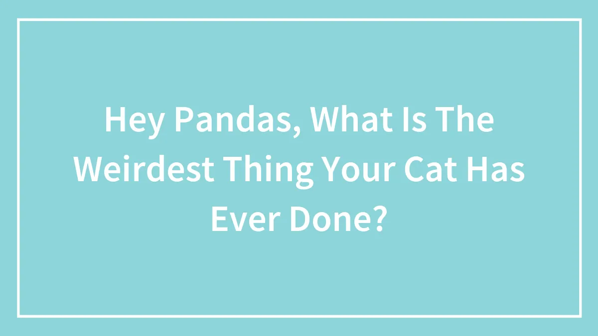 Hey Pandas, What Is The Weirdest Thing Your Cat Has Ever Done? (Closed)