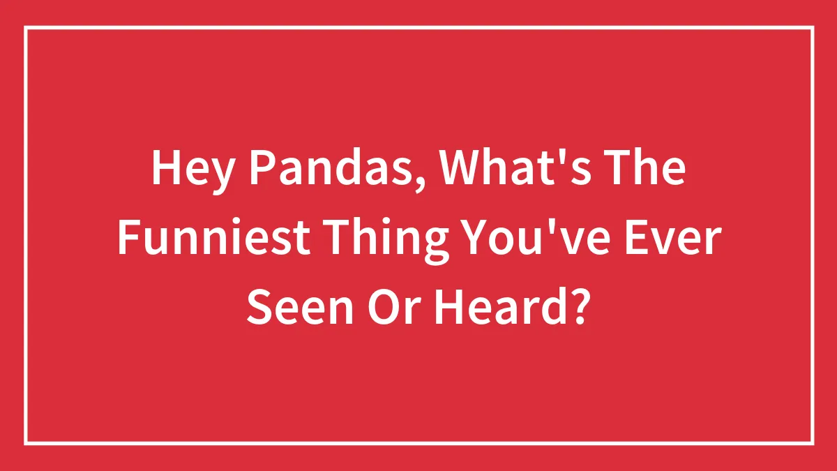 Hey Pandas, What's The Funniest Thing You've Ever Seen Or Heard? (Closed)