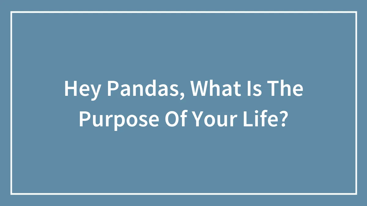 Hey Pandas, What Is The Purpose Of Your Life? (Closed)
