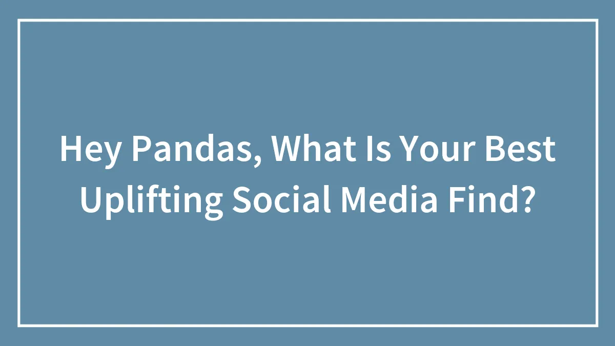 Hey Pandas, What Is Your Best Uplifting Social Media Find?
