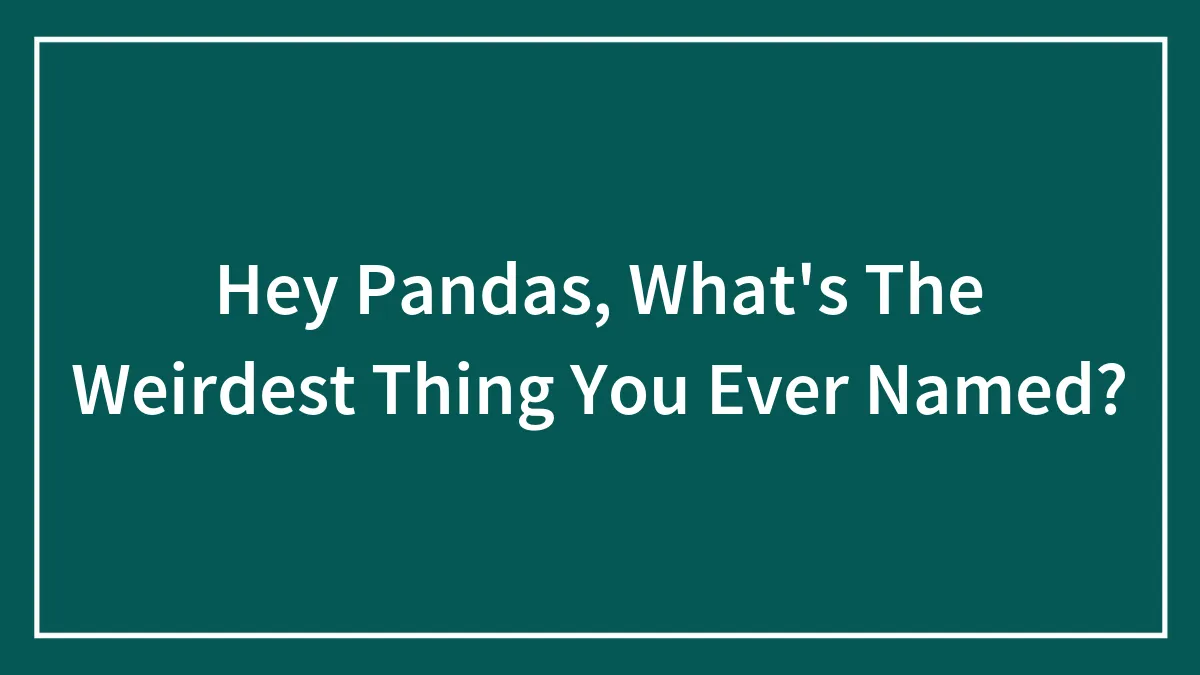 Hey Pandas, What's The Weirdest Thing You Ever Named? (Closed)