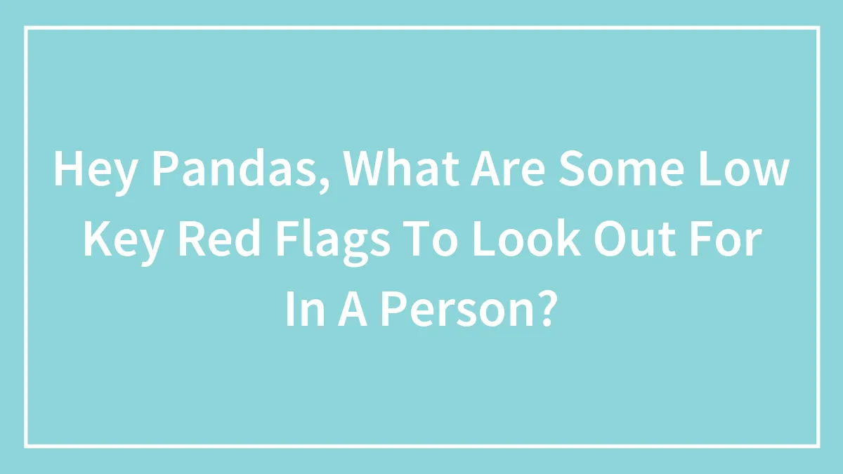 Hey Pandas, What Are Some Low Key Red Flags To Look Out For In A Person? (Closed)