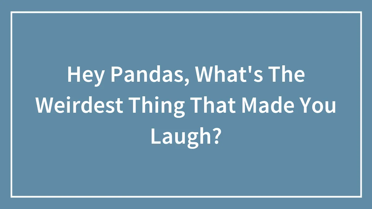 Hey Pandas, What's The Weirdest Thing That Made You Laugh? (Closed)