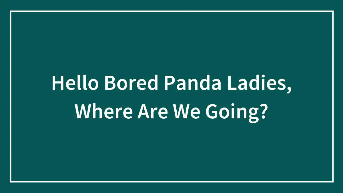 Hello Bored Panda Ladies, Where Are We Going?