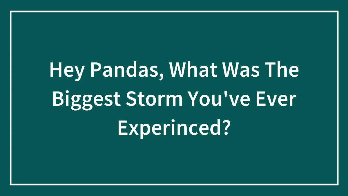 Hey Pandas, What Was The Biggest Storm You've Ever Experinced? (Closed)