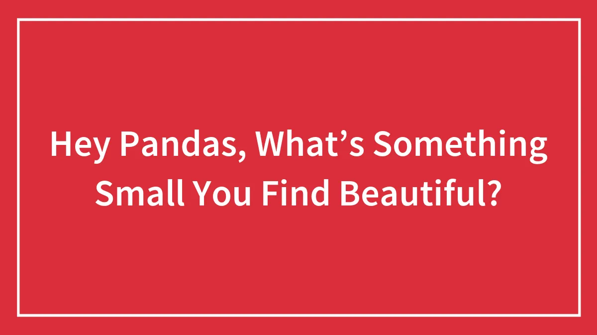 Hey Pandas, What’s Something Small You Find Beautiful?