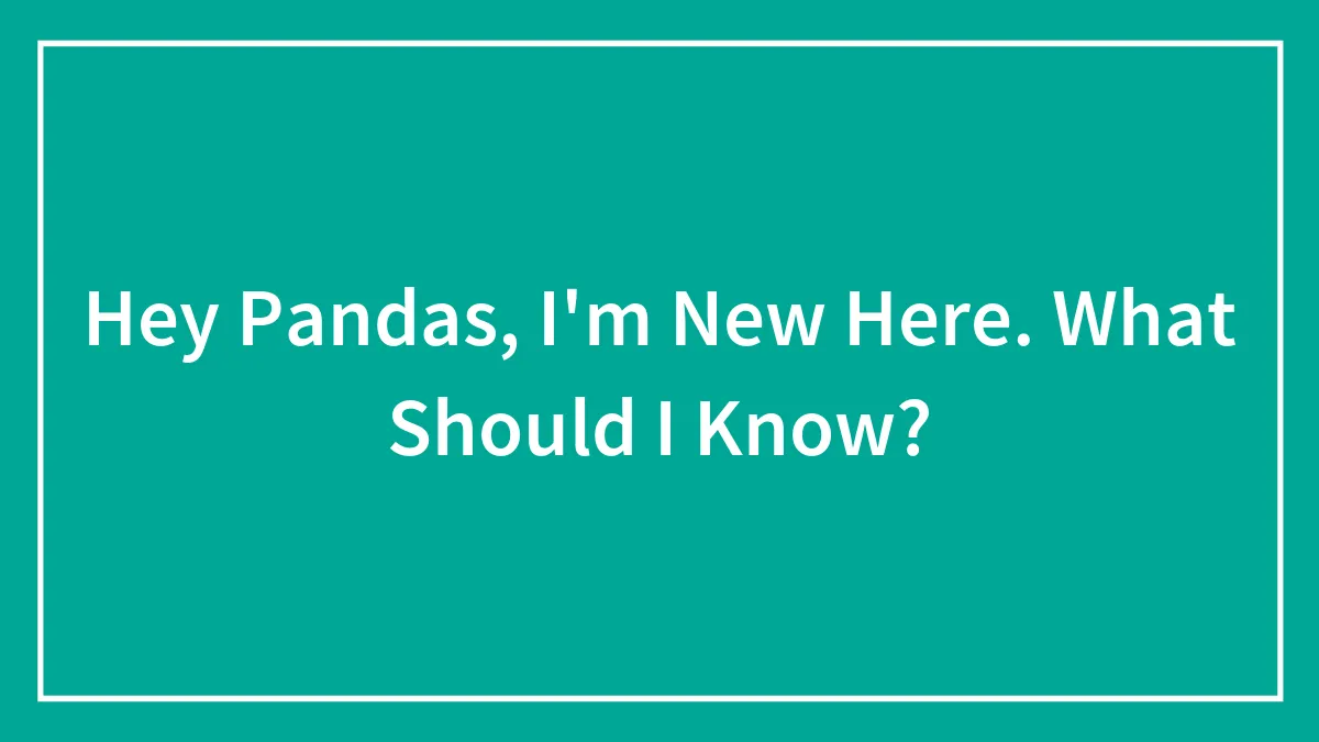 Hey Pandas, I'm New Here. What Should I Know?