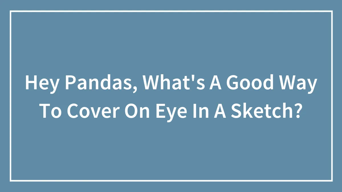 Hey Pandas, What's A Good Way To Cover On Eye In A Sketch?
