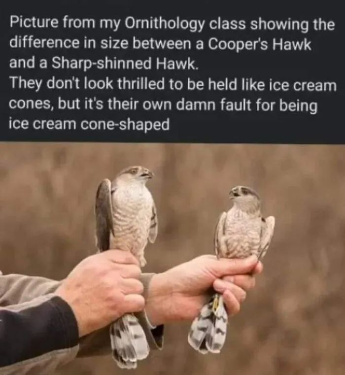 ‘The Lighter Side Of Science’: 50 Hilariously Relatable Memes For All (New Pics)