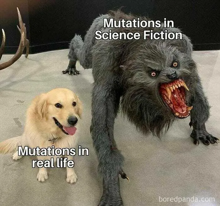 ‘The Lighter Side Of Science’: 50 Hilariously Relatable Memes For All (New Pics)