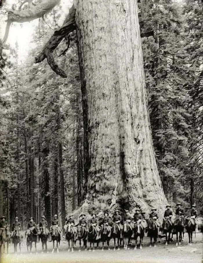 50 Interesting Photographs From The Past That Might Help You Learn Something New