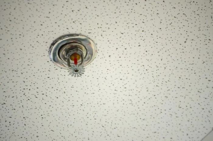 “The Carpet Was Just Like Squish Squish Squish”: 30 Wild Things Workers Saw In Clients’ Homes