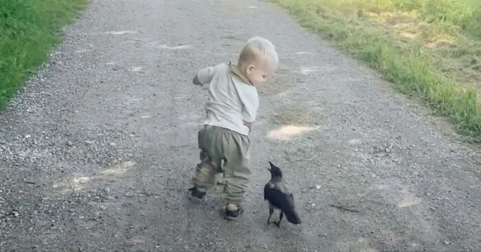 “They Have A Special Bond”: A 2-Year-Old Boy And His Crow