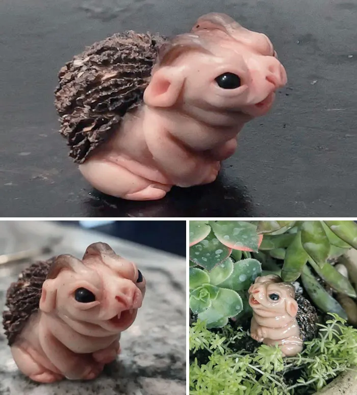 I Made A Little Nut Goblin To Guard My Succulents