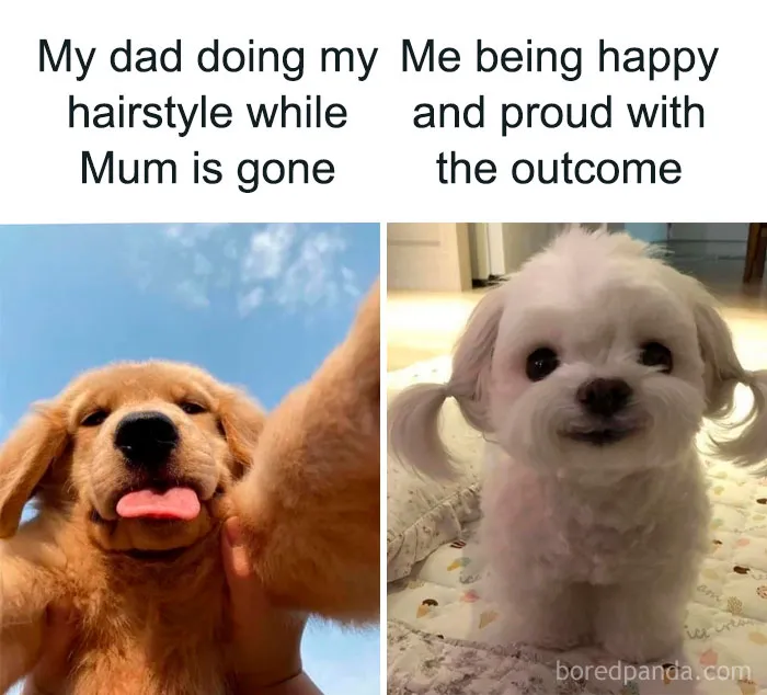 Its Still Cute Ngl
