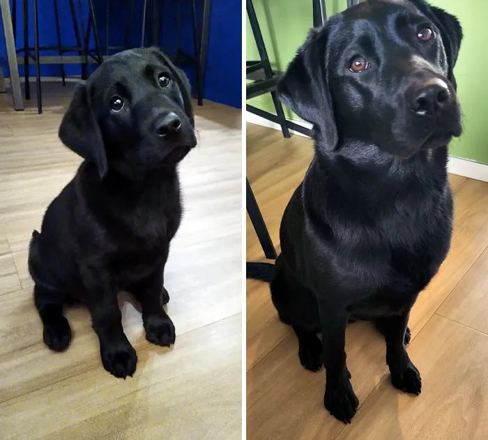 One Year Ago vs. Now
