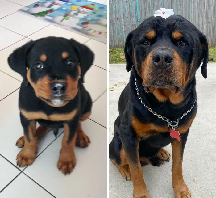 8 Weeks To 10 Years