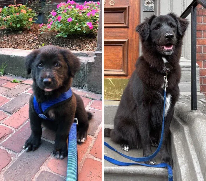How It Started vs. How It's Going