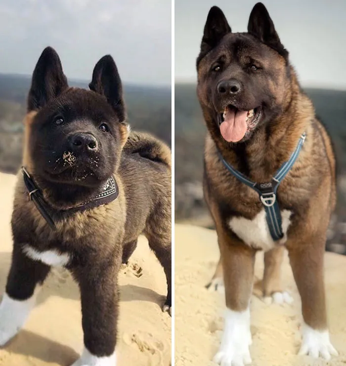 I Decided To Do The Same Picture A Few Years Later At The Exact Same Place. What A Transformation